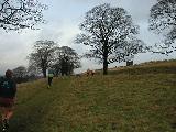 Click to see Lyme Park Trott 006.jpg